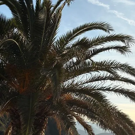 Dimora Degli Ulivi