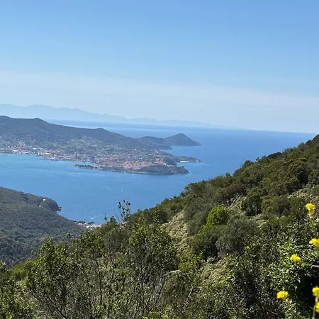 Dimora Degli Ulivi *